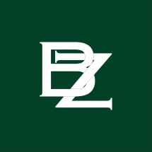 logo_bizzarpillow