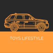 Logo Toys Lifestyle