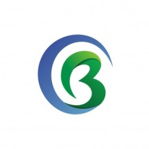 Logo Best Shop Ind