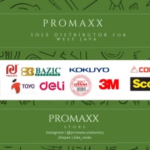 Logo PROMAXSTORE