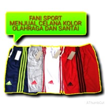 logo_fanisport