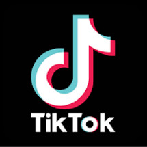 Logo Tiktokpedia