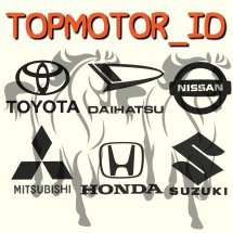Logo TOPMOTOR_ID