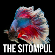 Logo The Sitompul