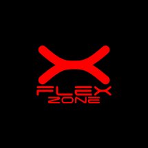 Logo FLEXZONE