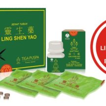 Logo Ling Shen Yao 1