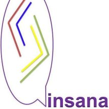 Logo Insana Onlineshop