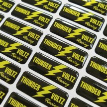 Logo Thunder voltz racing