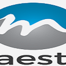 Logo Maestro Listrik