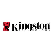 Logo Kingston Official Store