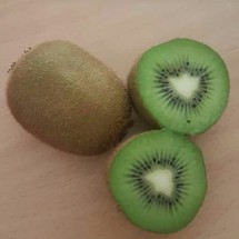 Logo segar fruits sby-sda