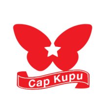 Logo Bintang Kupu Kupu