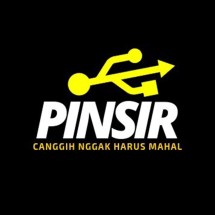 Logo PINSIR