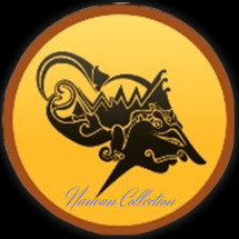 Logo nauvan collection