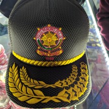 Logo astinasti