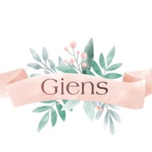 Logo Gienscollection