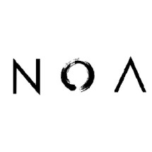 Logo Noaeveryday