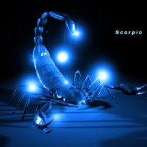 Logo scorpionacc_12