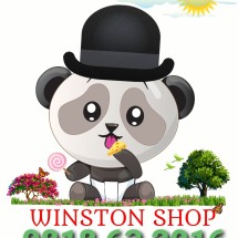logo_winston168