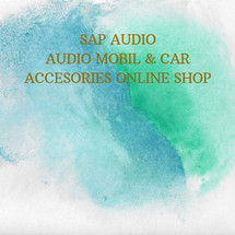 Logo SAP AUDIO