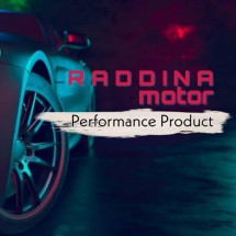 Logo raddinamotor