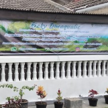 Logo Rizky dheaquatic