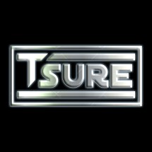 Logo TSure Store