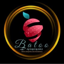 Logo Batoo