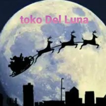 Logo toko DeL Luna