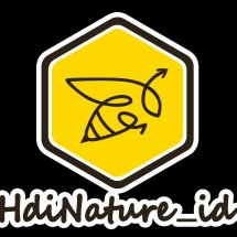 Logo CubWorld