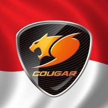 logo_cougargaming