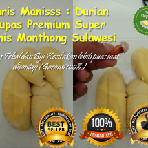 logo_tiens-shop-ori