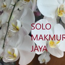 Logo Solo Makmur Jaya