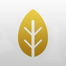 Logo Harlequin Herb