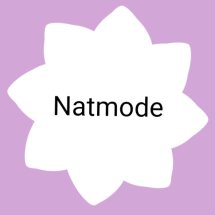 Logo NAT mode