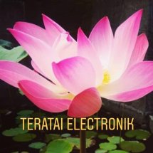 Logo teratai electronik