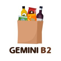 Logo Gemini B2