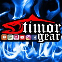 Logo Timor Gear