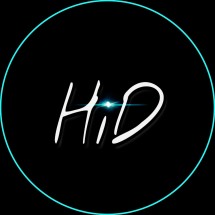 Logo Hidden Grey