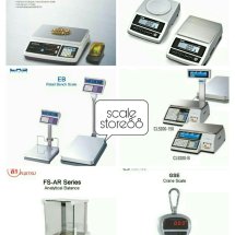 Logo SCALE STORE88