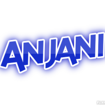 Logo Anjani Store9