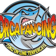 Logo Orca Pancing