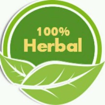 Logo Bio LingZhi
