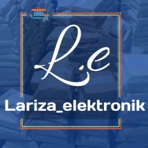 Logo lariza elektronik