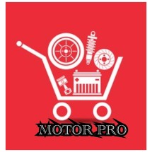 Logo Motor Pro