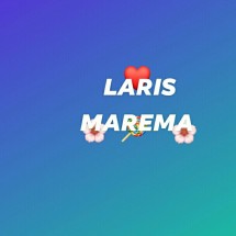 Logo Laris Marema