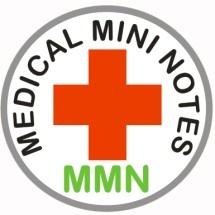 Logo Medical Mini Notes Team