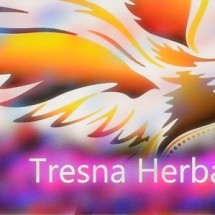Logo tresna_cantik