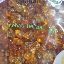 Logo sehat herbal 56