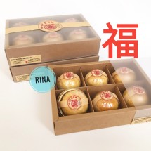 Logo Rina
